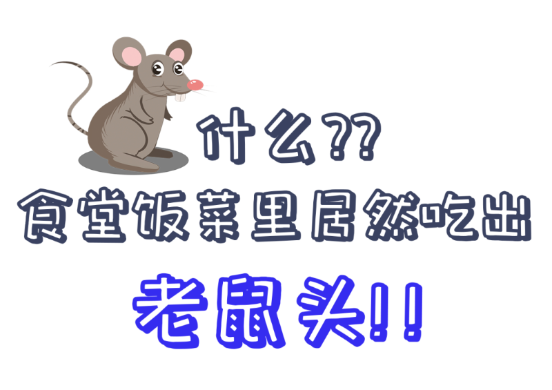 公共食堂又爆雷！饭菜吃出老鼠头？？看看球盟会(中国)新材怎么做......